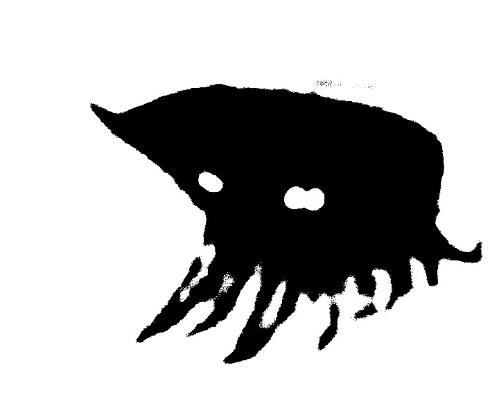 Eye, digital photograph by Greg Yenoli