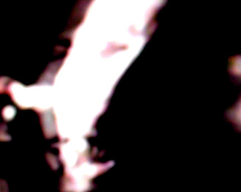 Baraka, digital photograph by Greg Yenoli