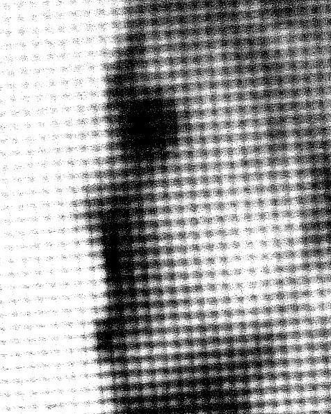 Rage in Profile, digital photograph by Greg Yenoli